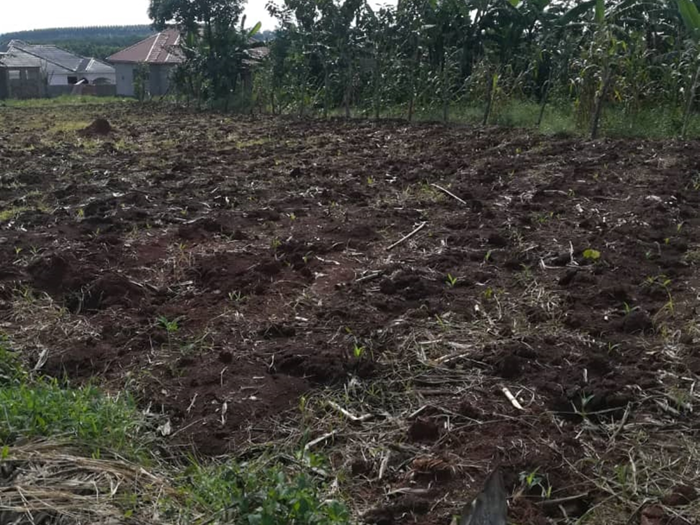 Residential Land for sale in Njerere Mukono