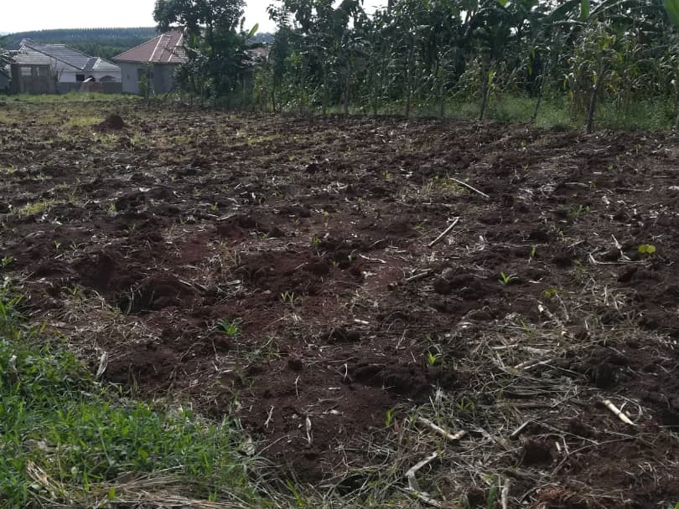 Residential Land for sale in Njerere Mukono