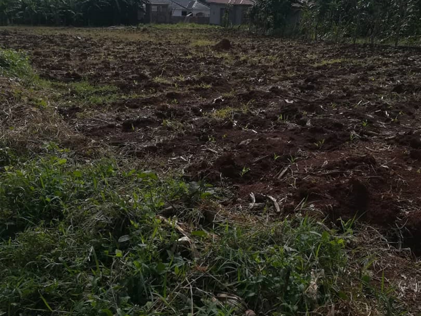 Residential Land for sale in Njerere Mukono