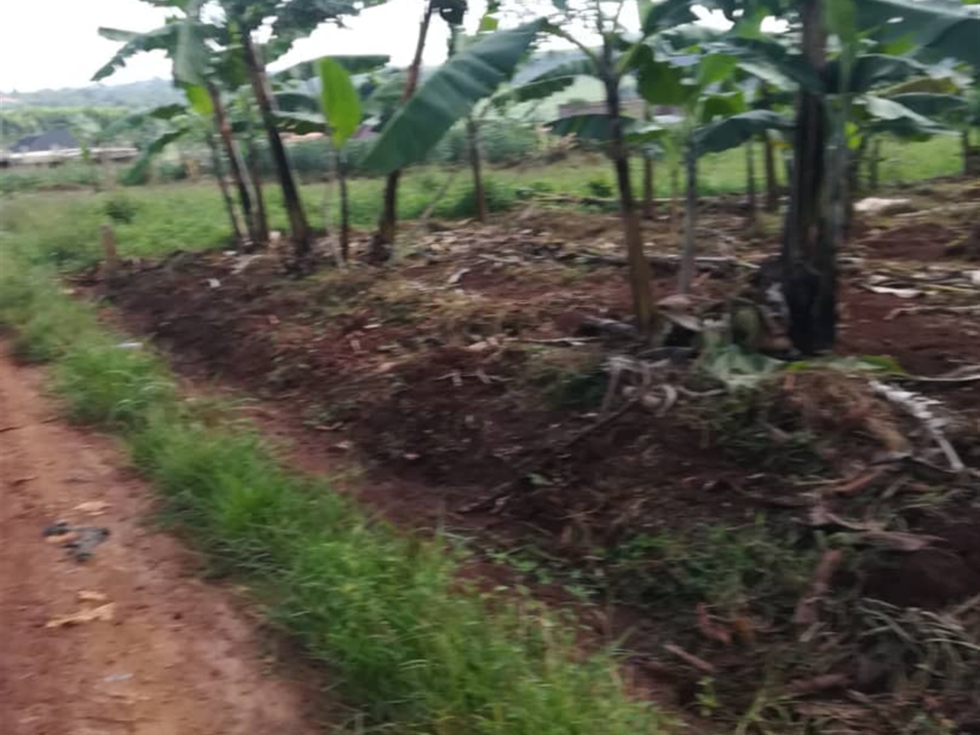 Residential Land for sale in Njerere Mukono