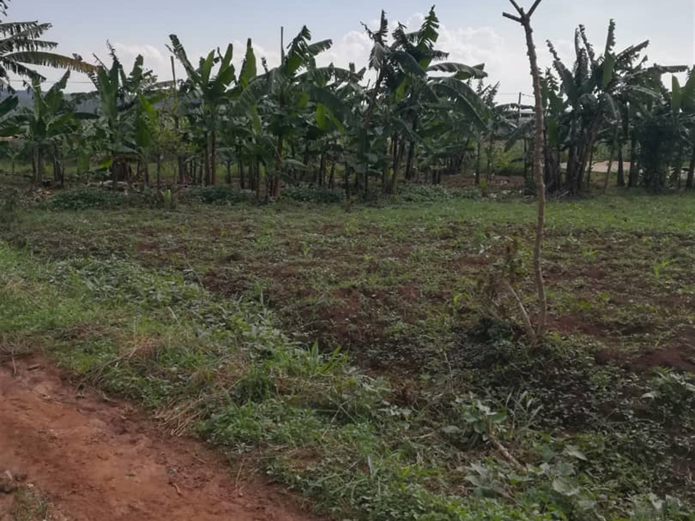 Residential Land for sale in Njerere Mukono