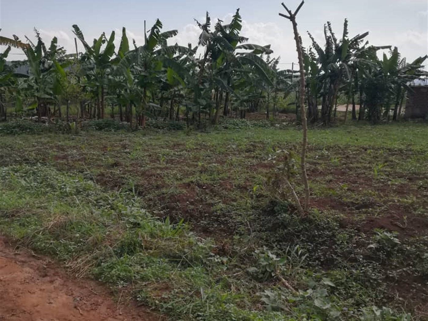 Residential Land for sale in Njerere Mukono