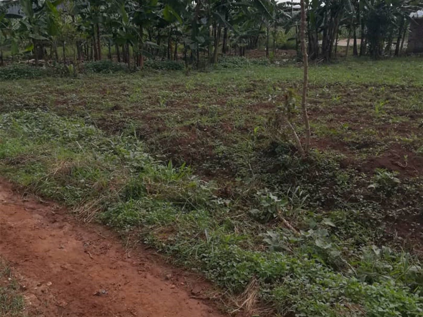 Residential Land for sale in Njerere Mukono