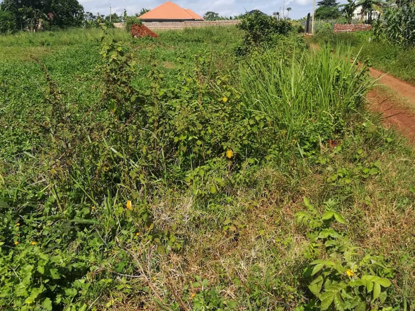 Residential Land for sale in Njerere Mukono