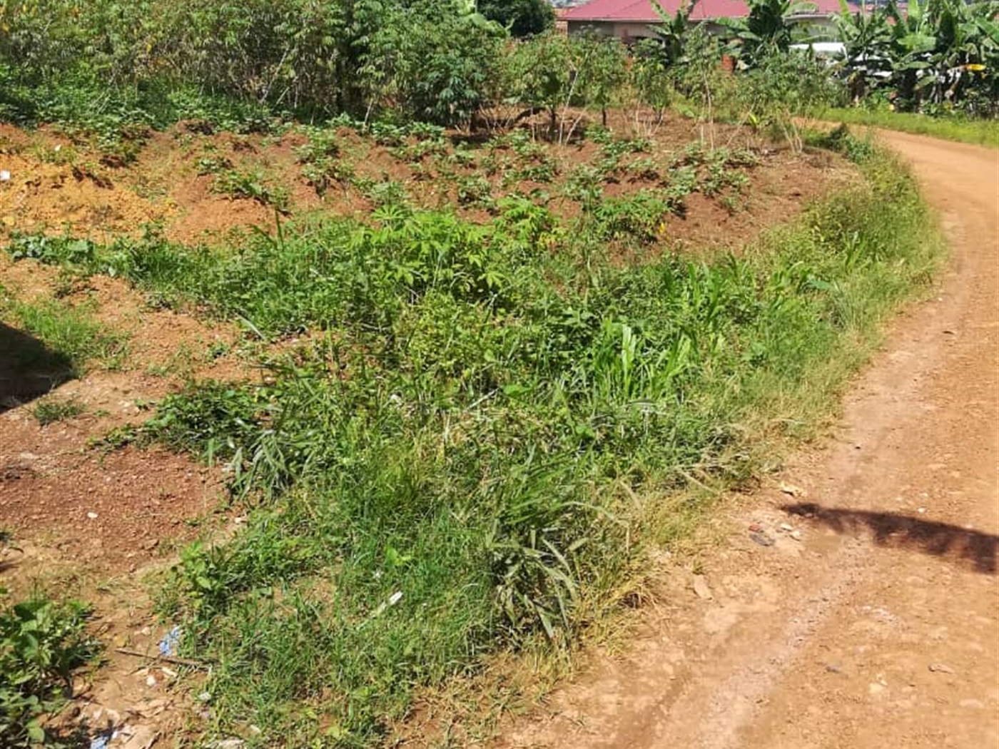 Residential Land for sale in Kigombya Mukono