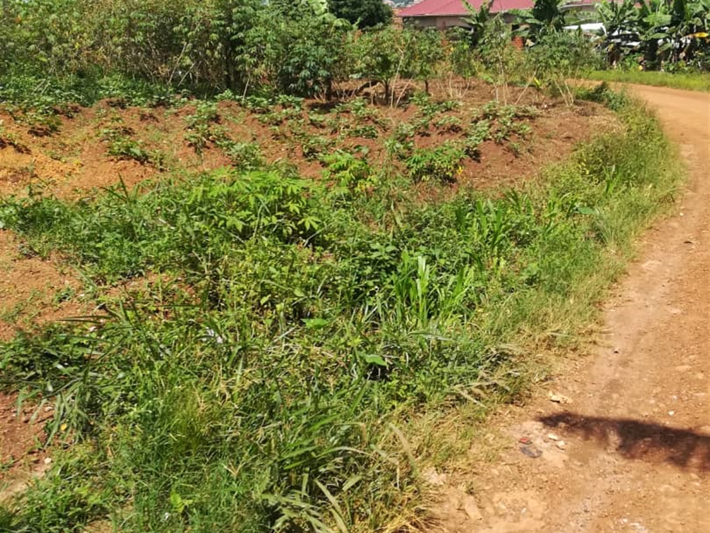 Residential Land for sale in Kigombya Mukono