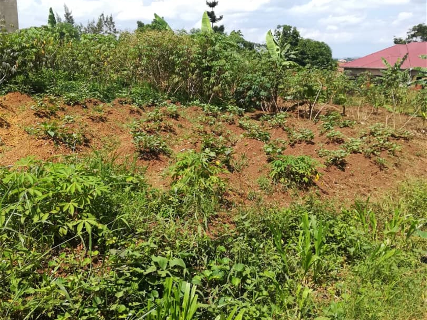 Residential Land for sale in Kigombya Mukono