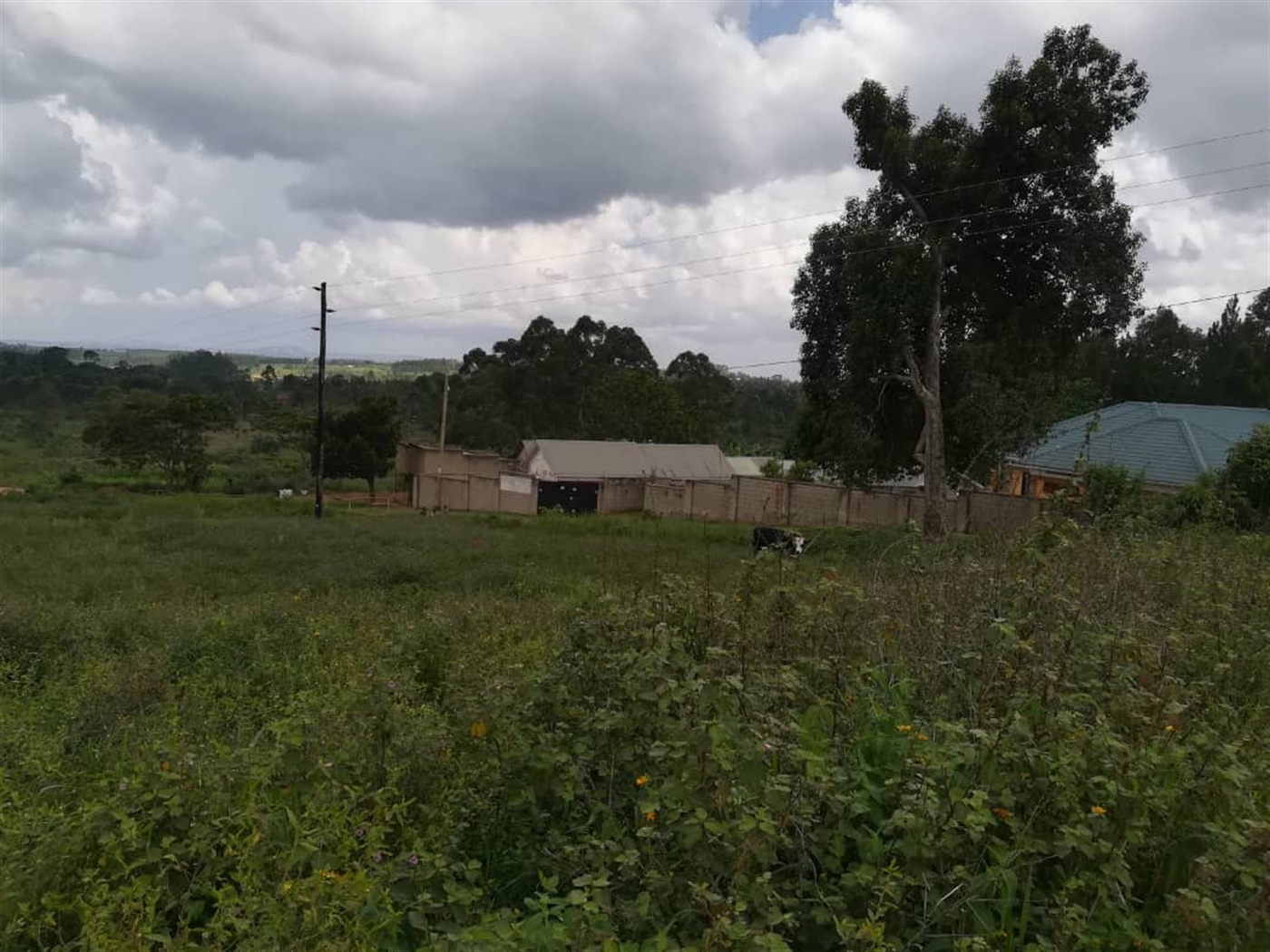 Residential Land for sale in Nabuuta Mukono