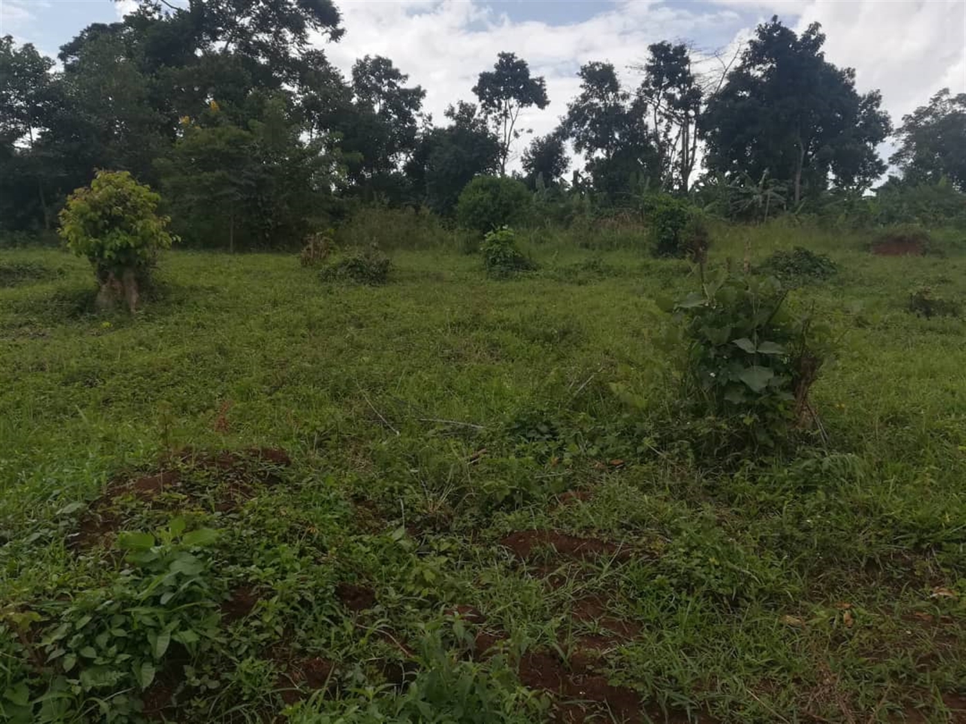 Residential Land for sale in Mbalala Mukono