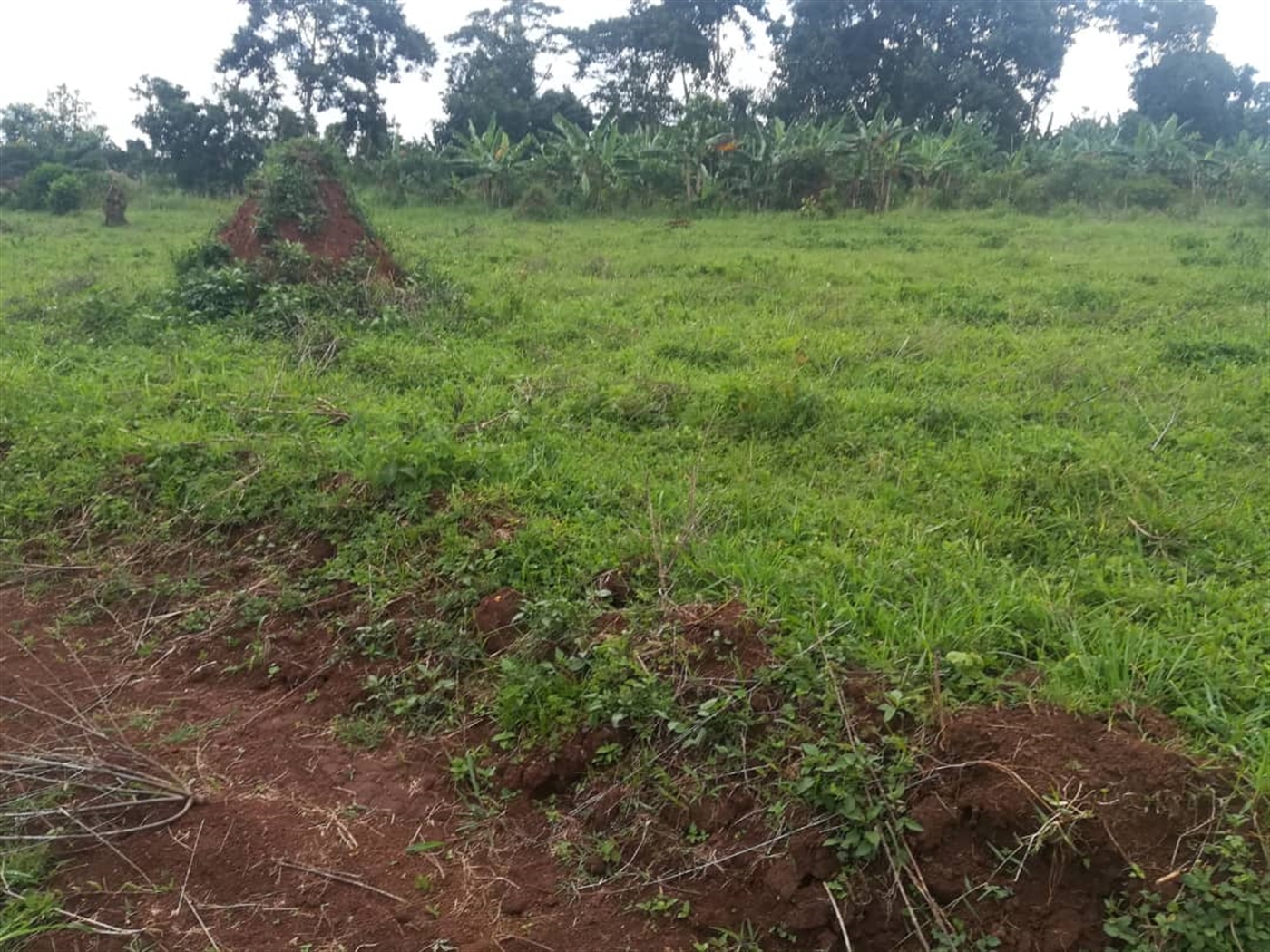 Residential Land for sale in Mbalala Mukono