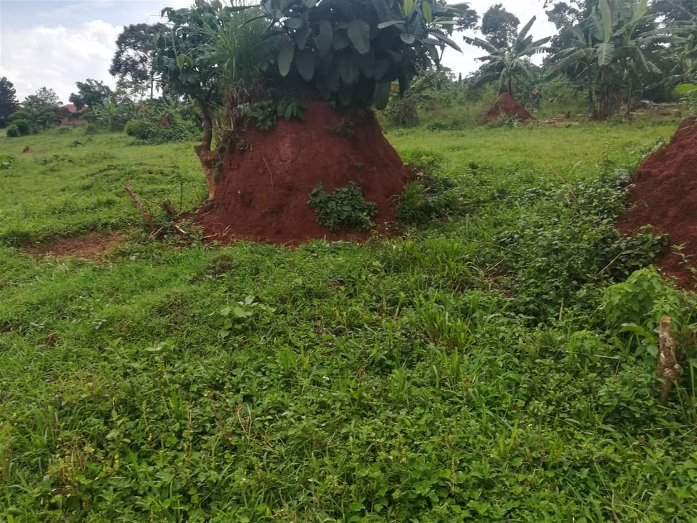 Residential Land for sale in Namataba Mukono