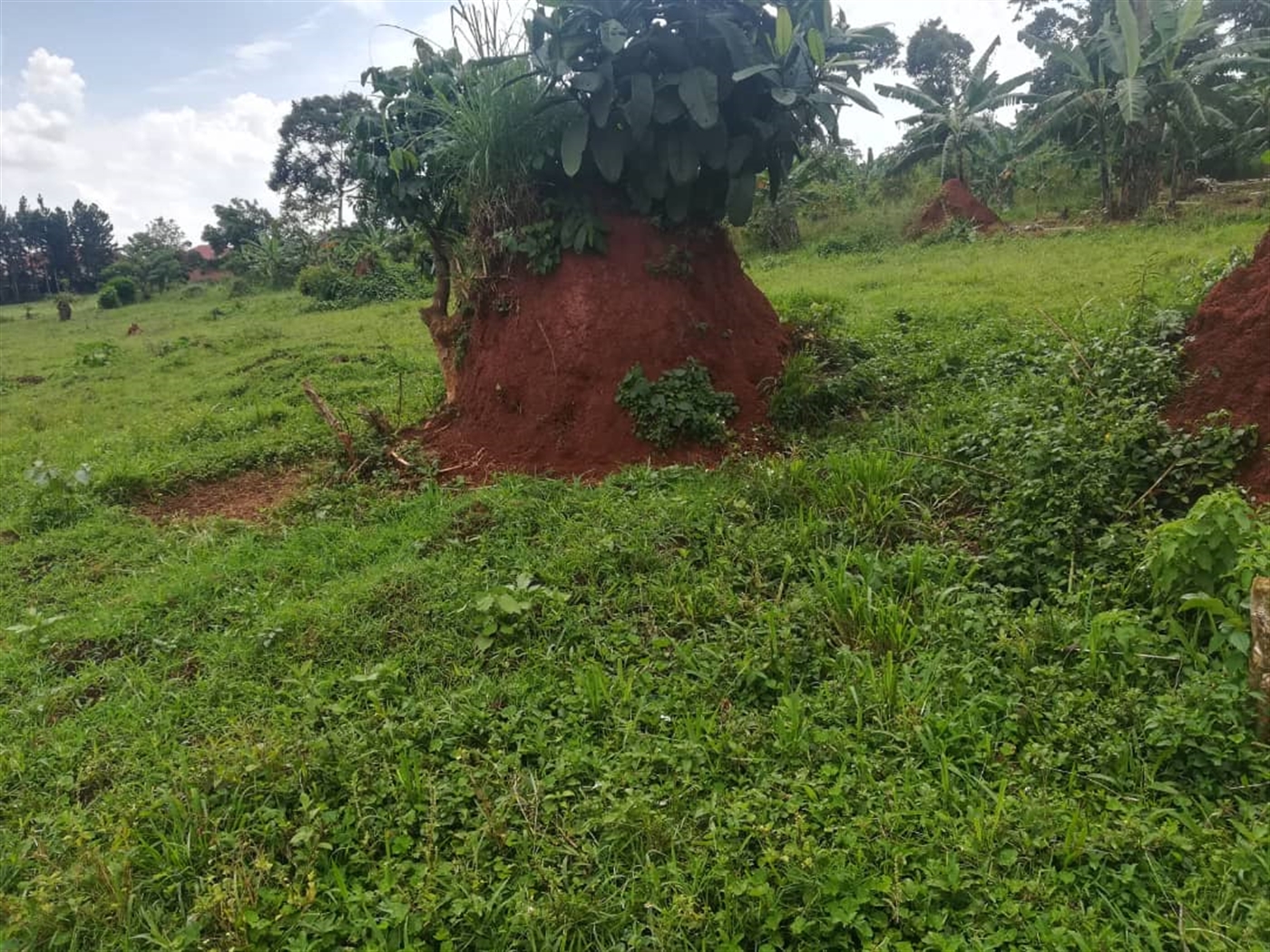 Residential Land for sale in Namataba Mukono