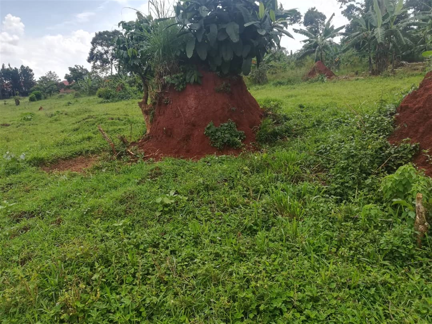 Residential Land for sale in Namataba Mukono