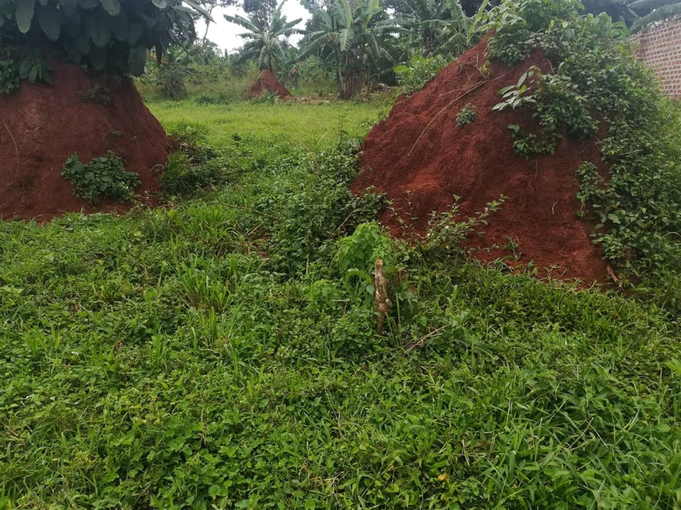 Residential Land for sale in Namataba Mukono