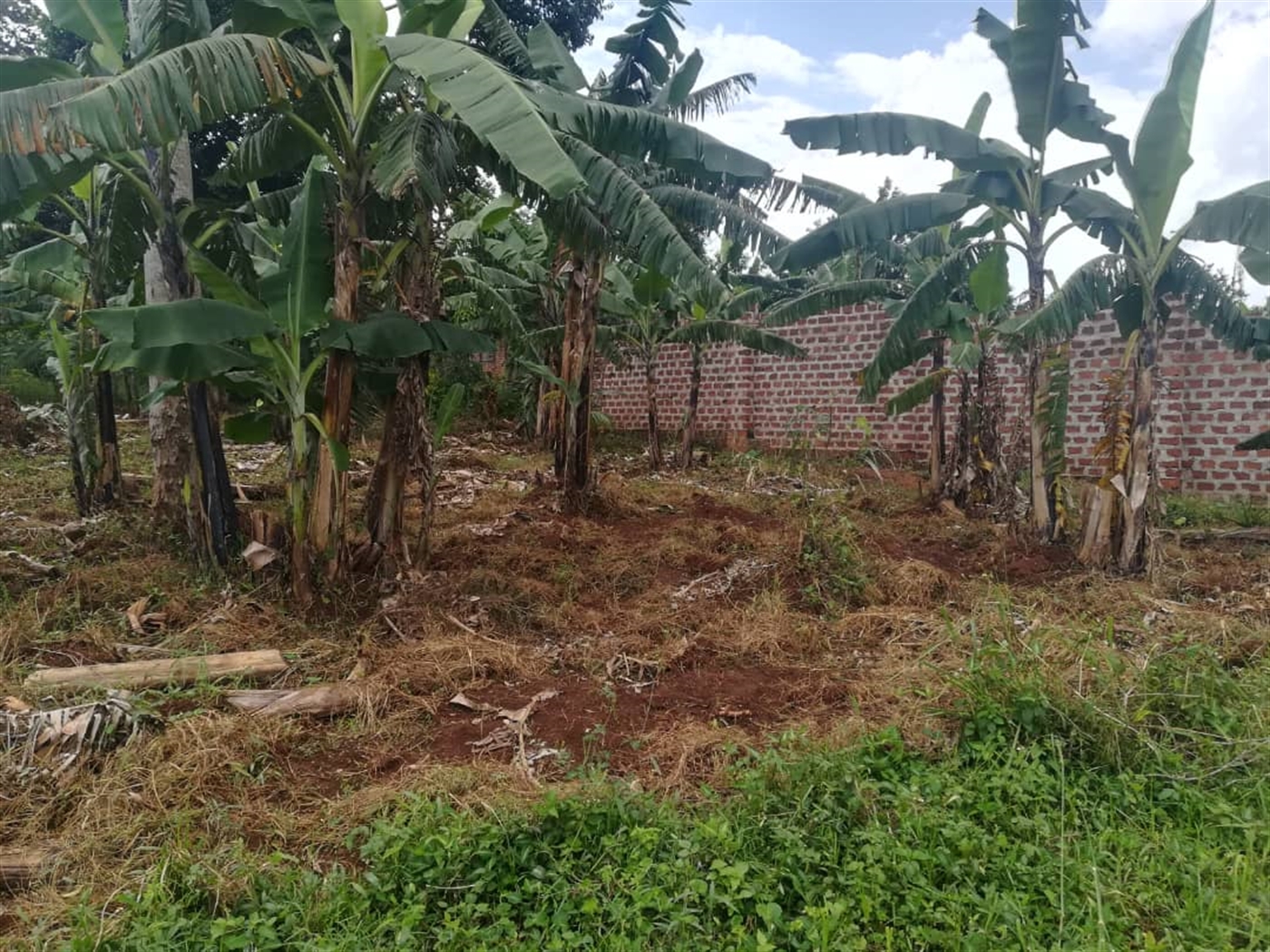 Residential Land for sale in Namataba Mukono