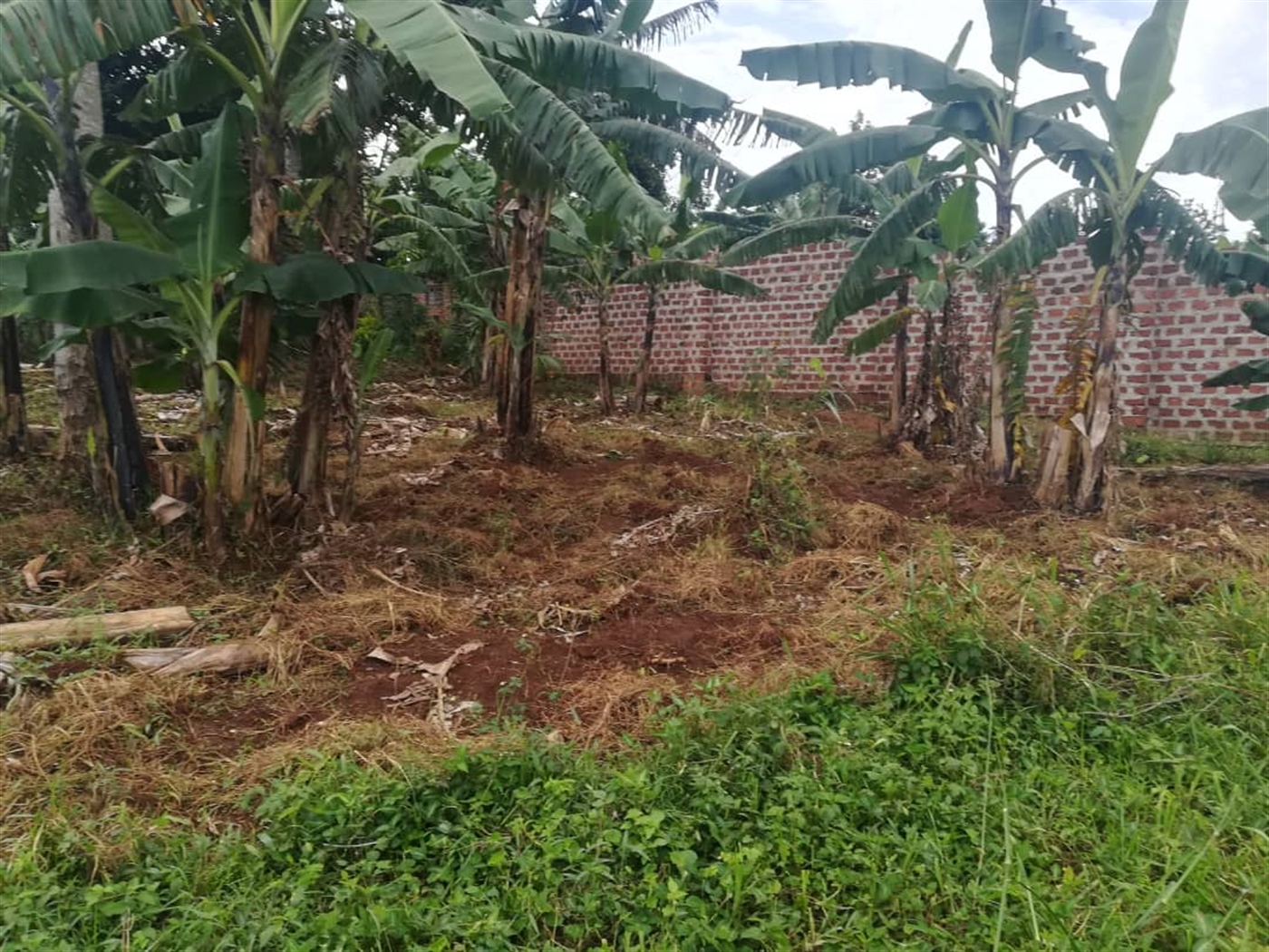 Residential Land for sale in Namataba Mukono