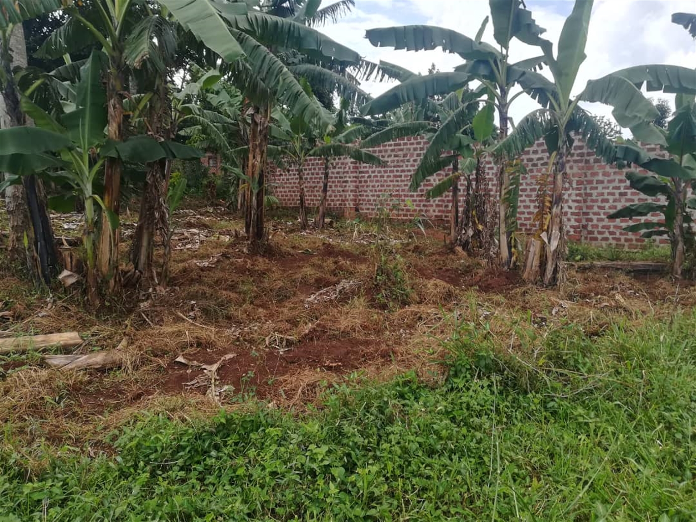 Residential Land for sale in Namataba Mukono