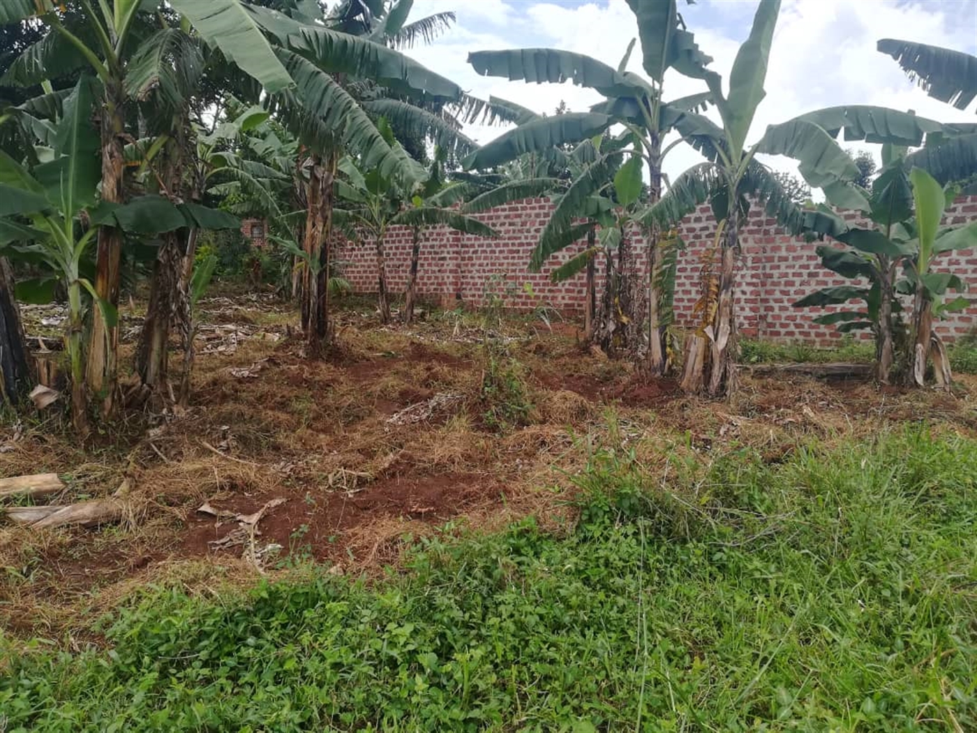 Residential Land for sale in Namataba Mukono