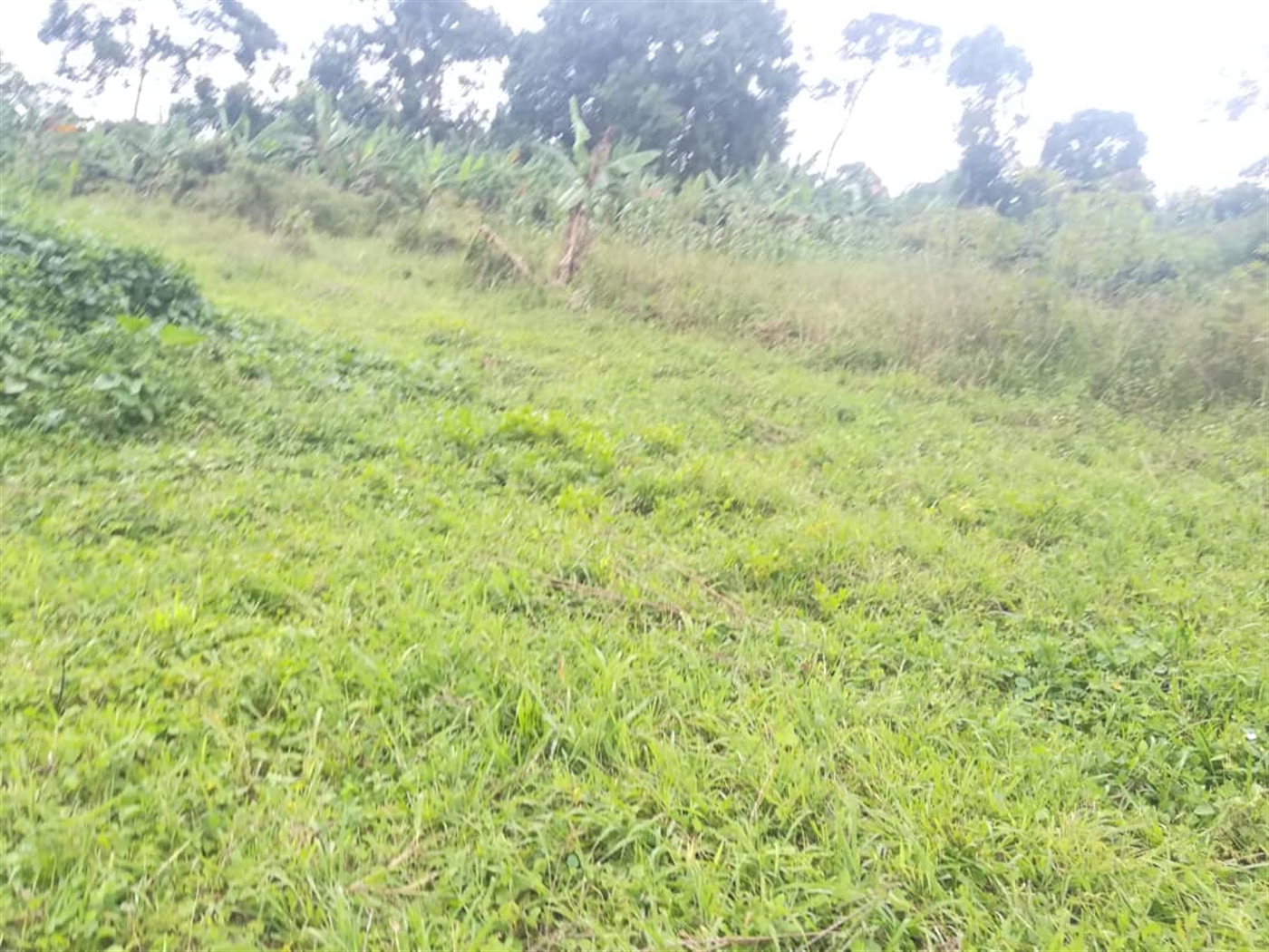 Residential Land for sale in Namataba Mukono