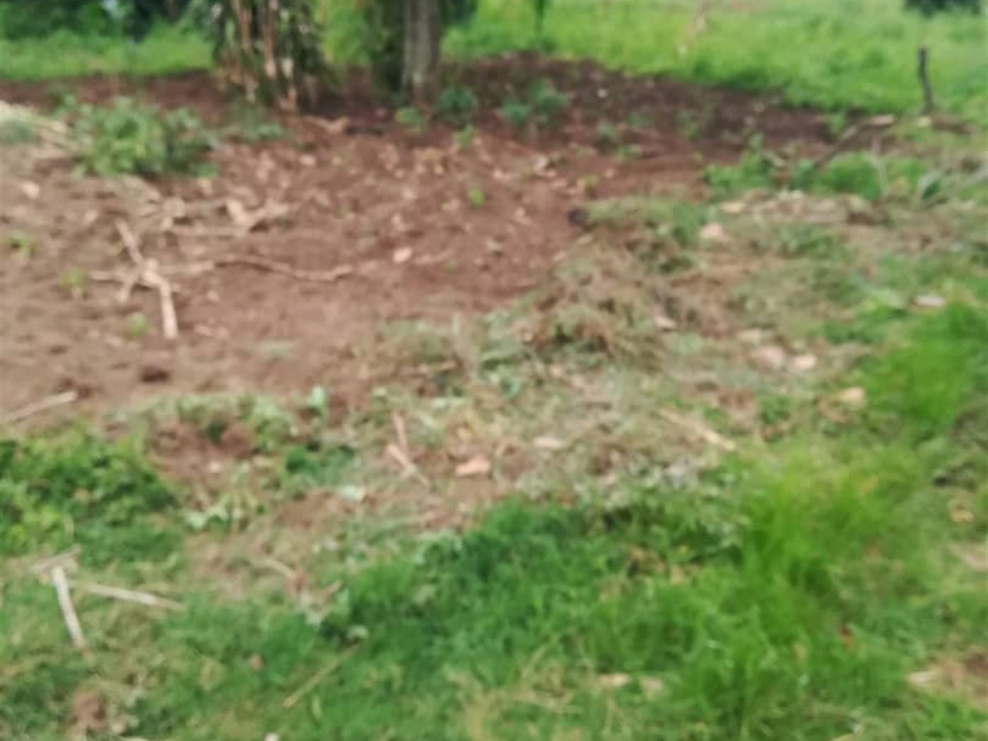 Residential Land for sale in Nsuube Mukono