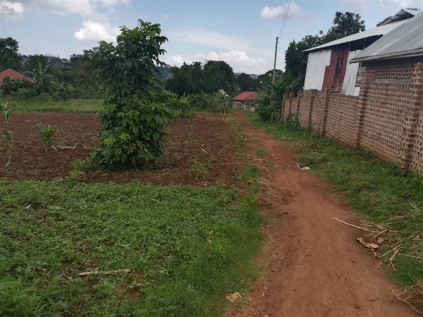 Residential Land for sale in Nsuube Mukono