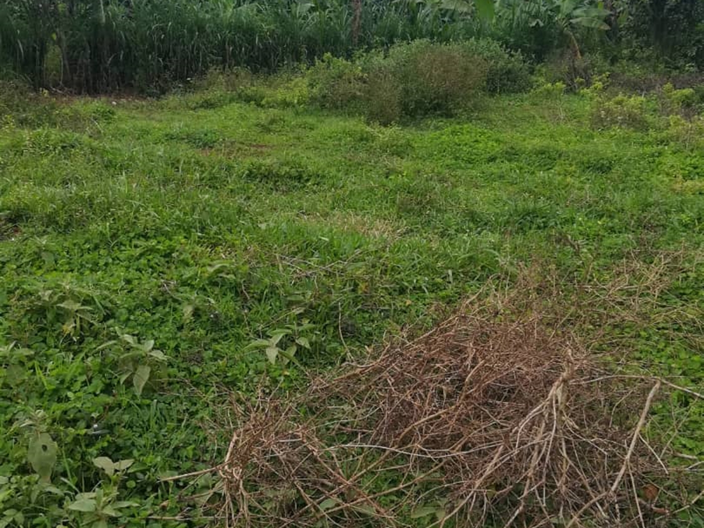 Residential Land for sale in Kigombya Mukono