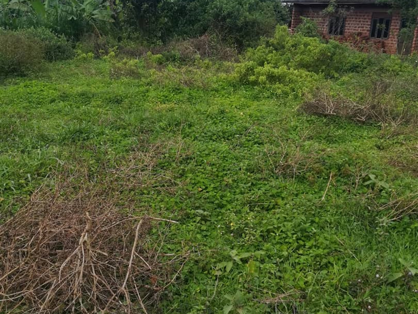 Residential Land for sale in Kigombya Mukono