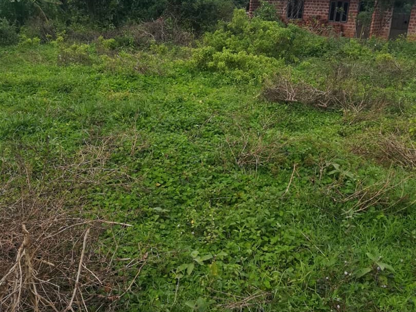 Residential Land for sale in Kigombya Mukono