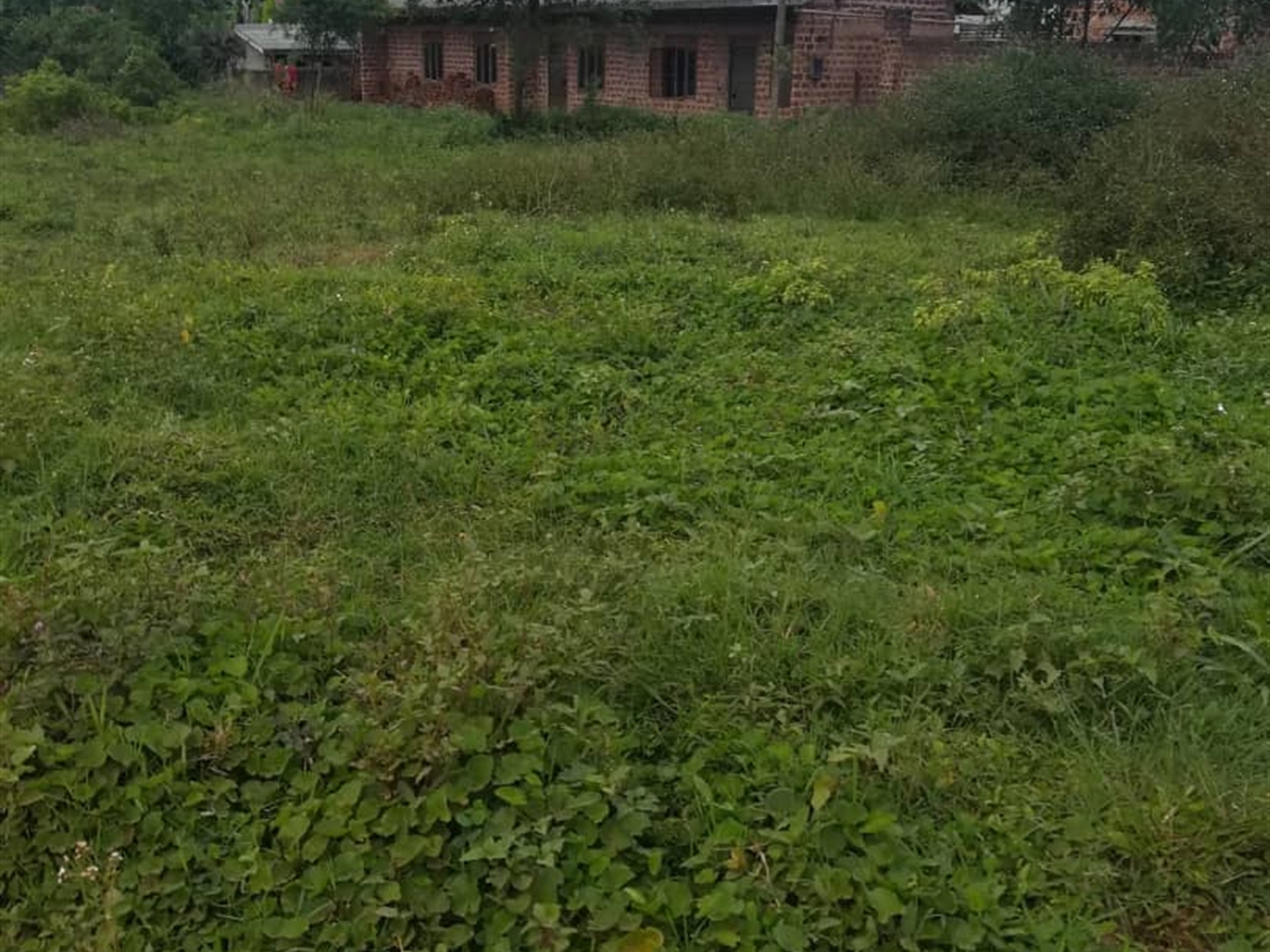 Residential Land for sale in Kigombya Mukono