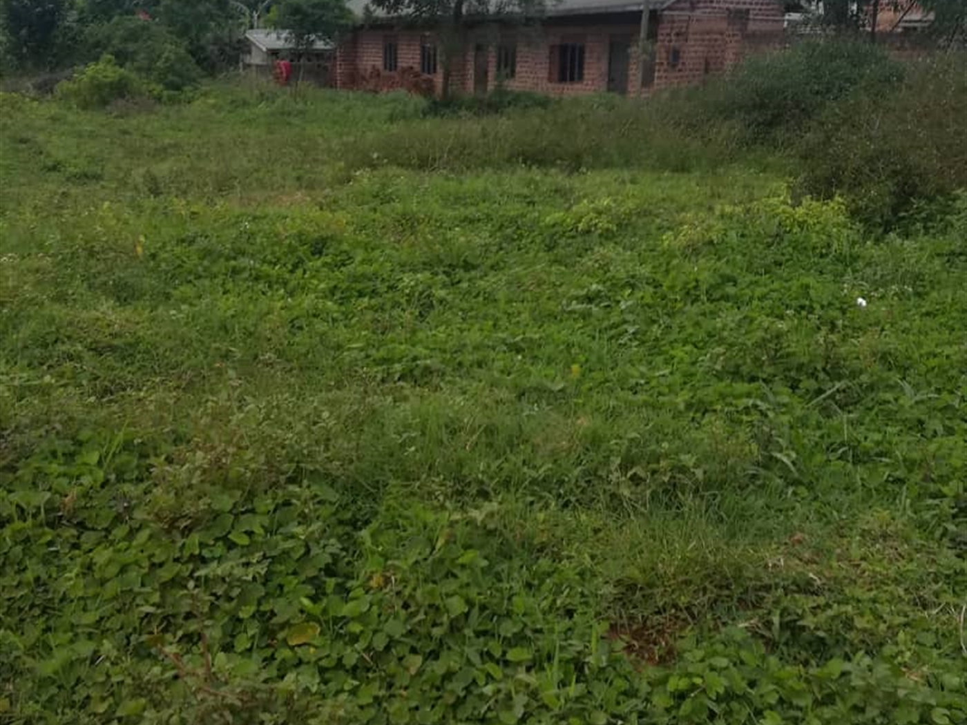 Residential Land for sale in Kigombya Mukono