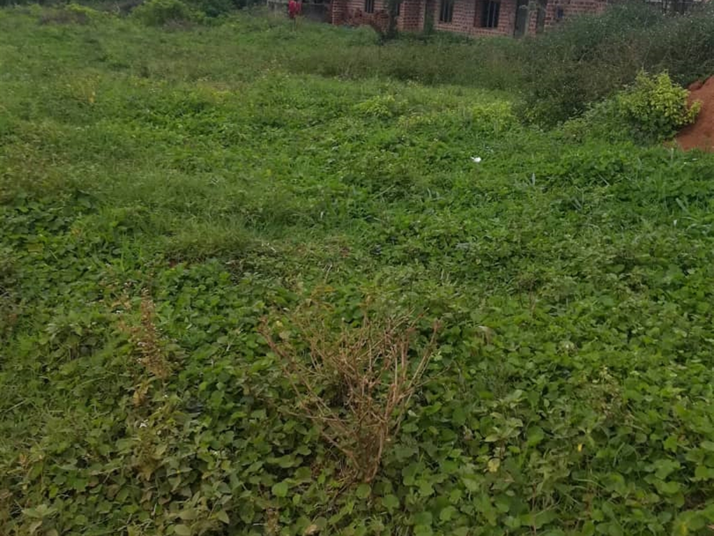 Residential Land for sale in Kigombya Mukono