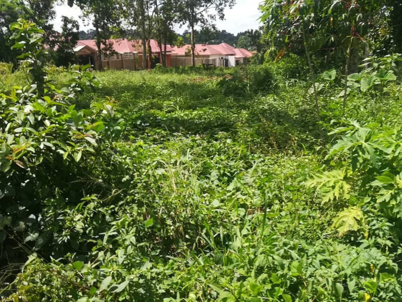 Residential Land for sale in Nsuube Mukono