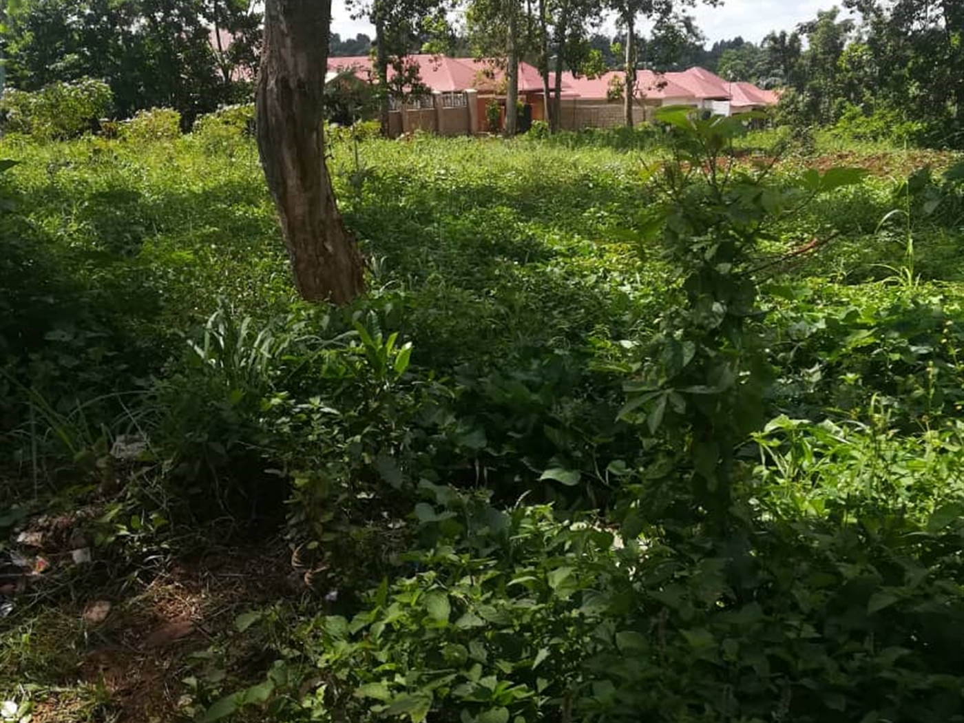 Residential Land for sale in Nsuube Mukono