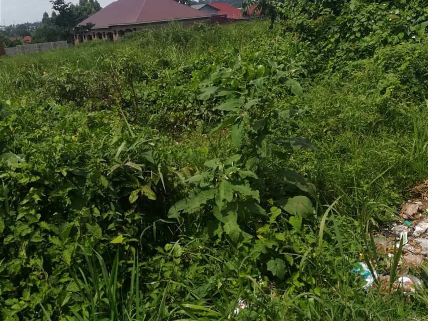 Residential Land for sale in Nsuube Mukono