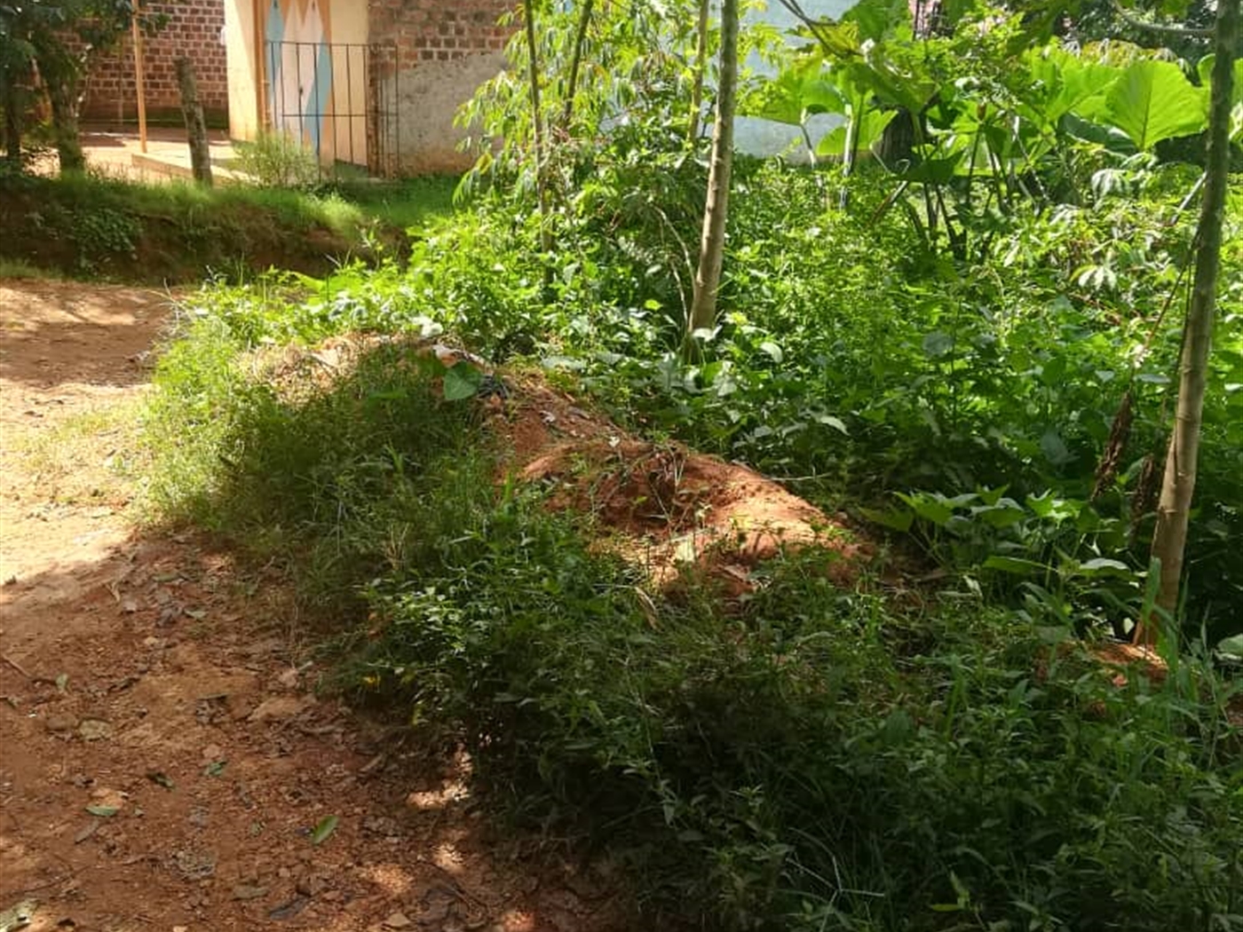 Residential Land for sale in Nsuube Mukono