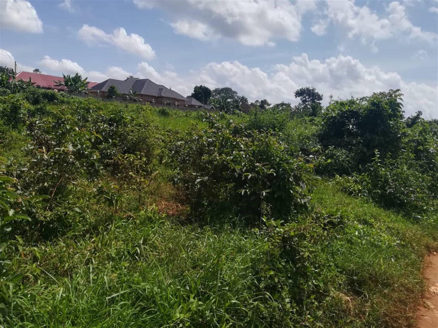 Residential Land for sale in Nsuube Mukono