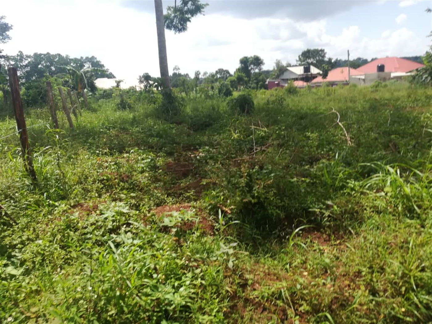 Residential Land for sale in Nsuube Mukono