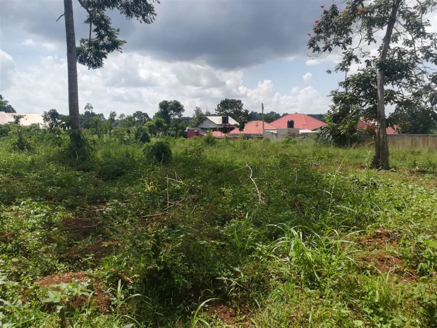 Residential Land for sale in Nsuube Mukono