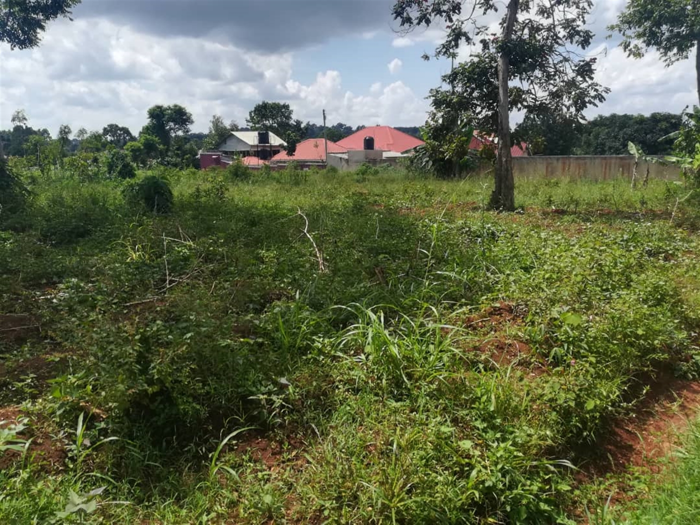 Residential Land for sale in Nsuube Mukono