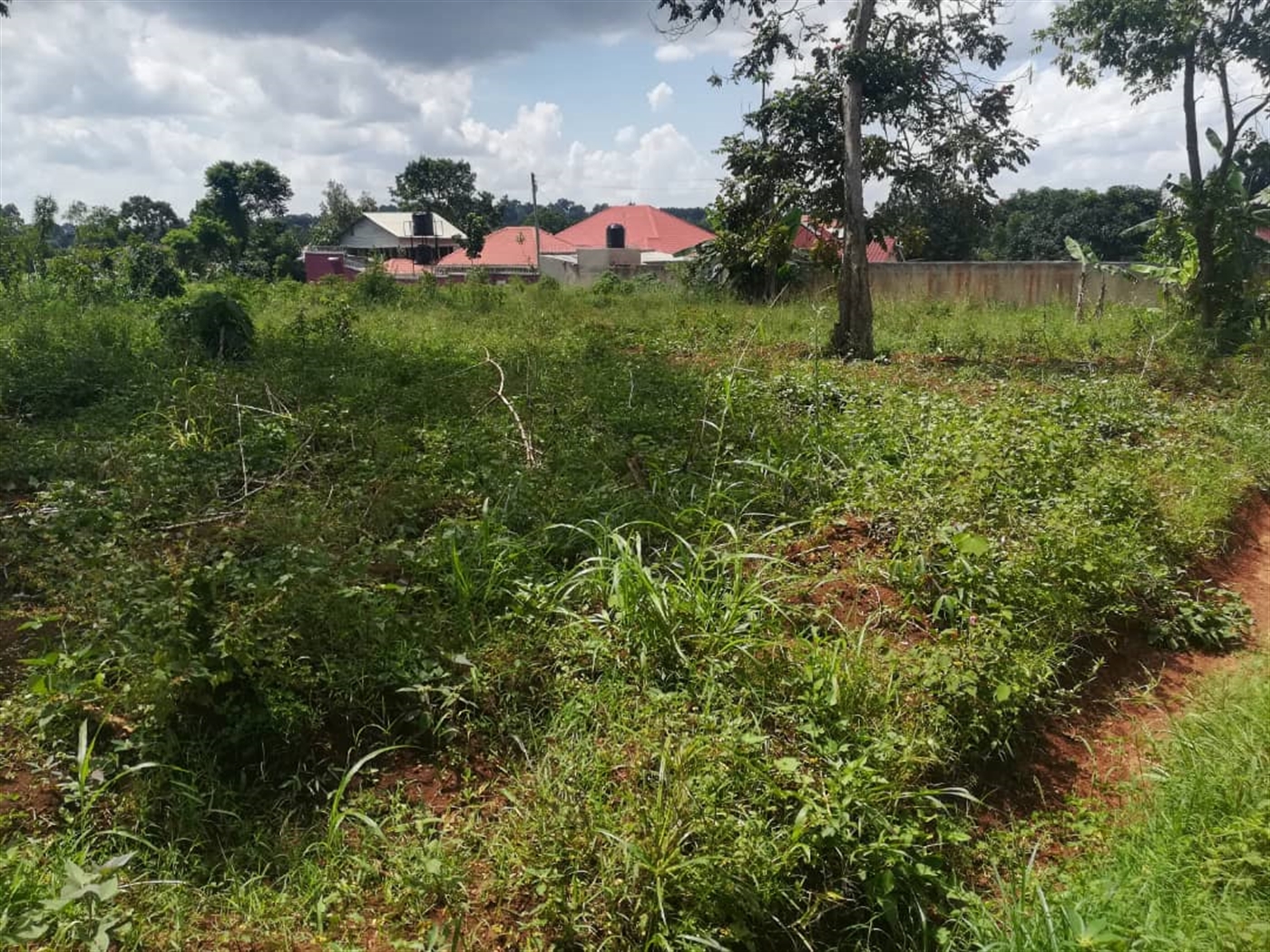 Residential Land for sale in Nsuube Mukono