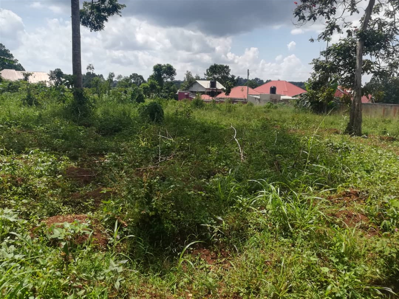 Residential Land for sale in Nsuube Mukono