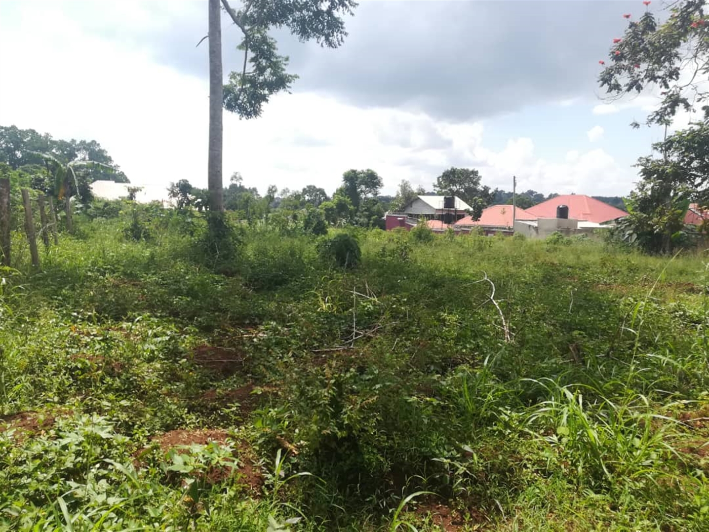 Residential Land for sale in Nsuube Mukono