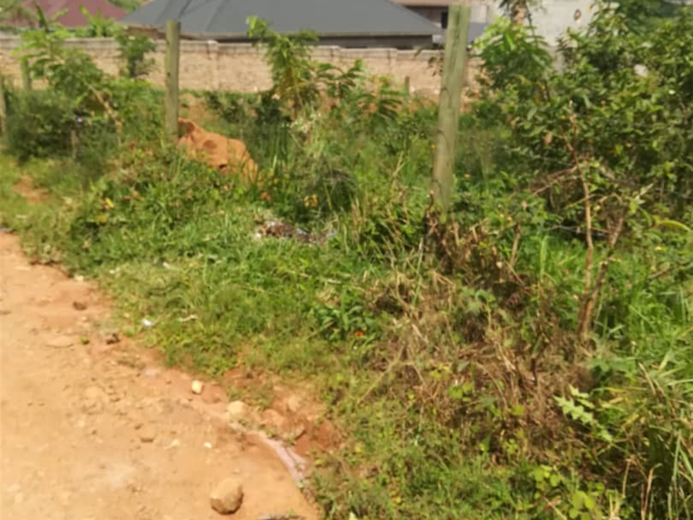 Residential Land for sale in Namataba Mukono