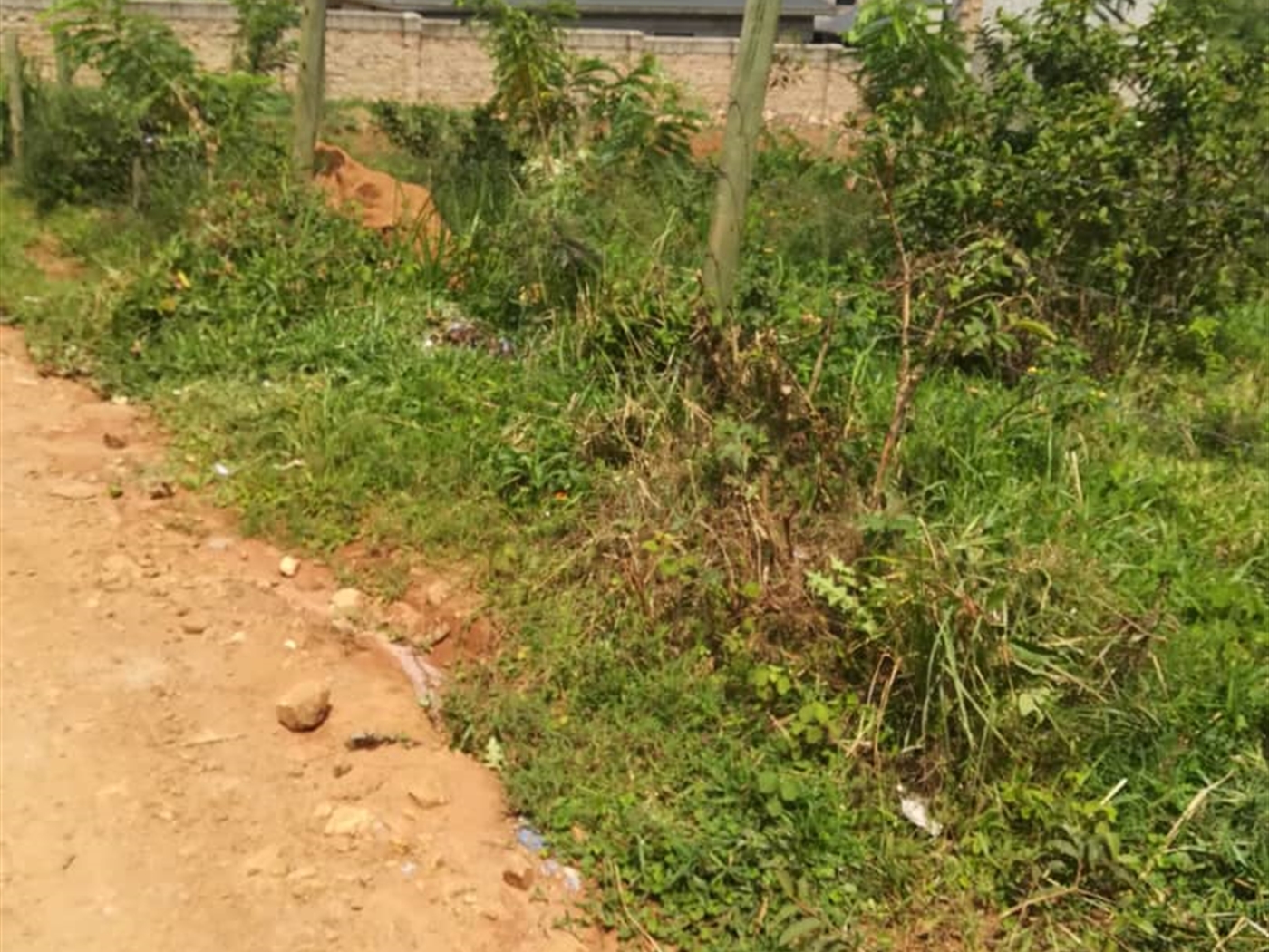 Residential Land for sale in Namataba Mukono