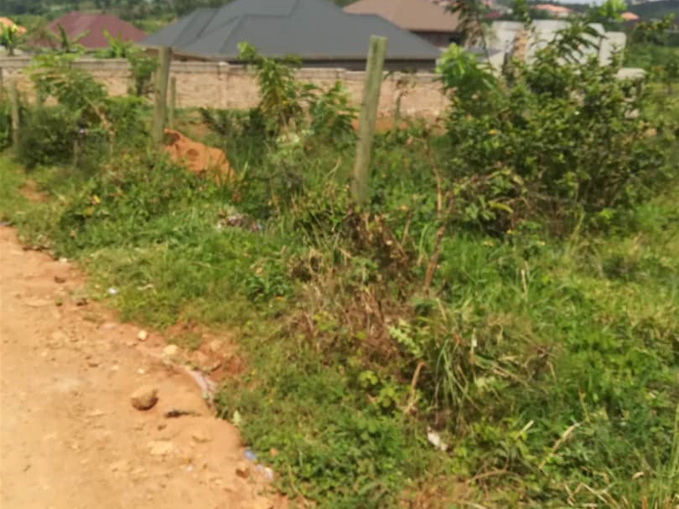 Residential Land for sale in Namataba Mukono