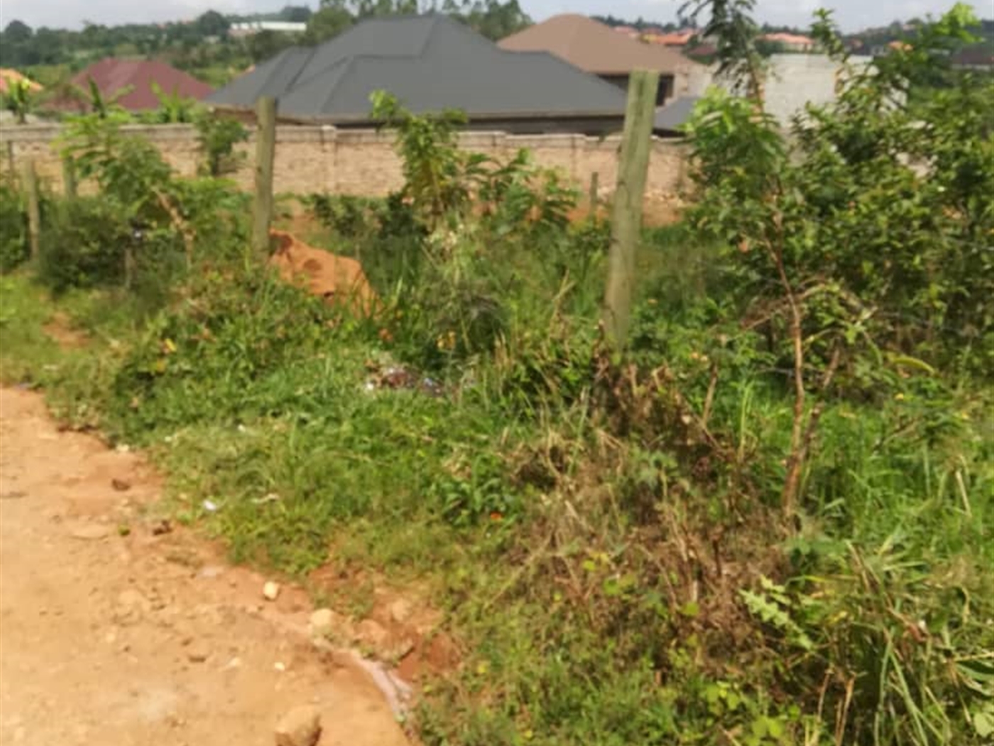 Residential Land for sale in Namataba Mukono