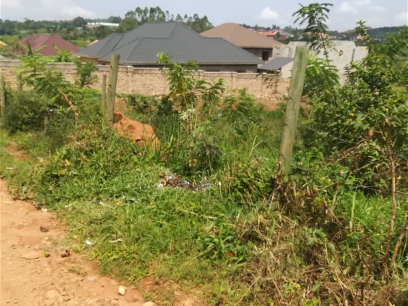 Residential Land for sale in Namataba Mukono