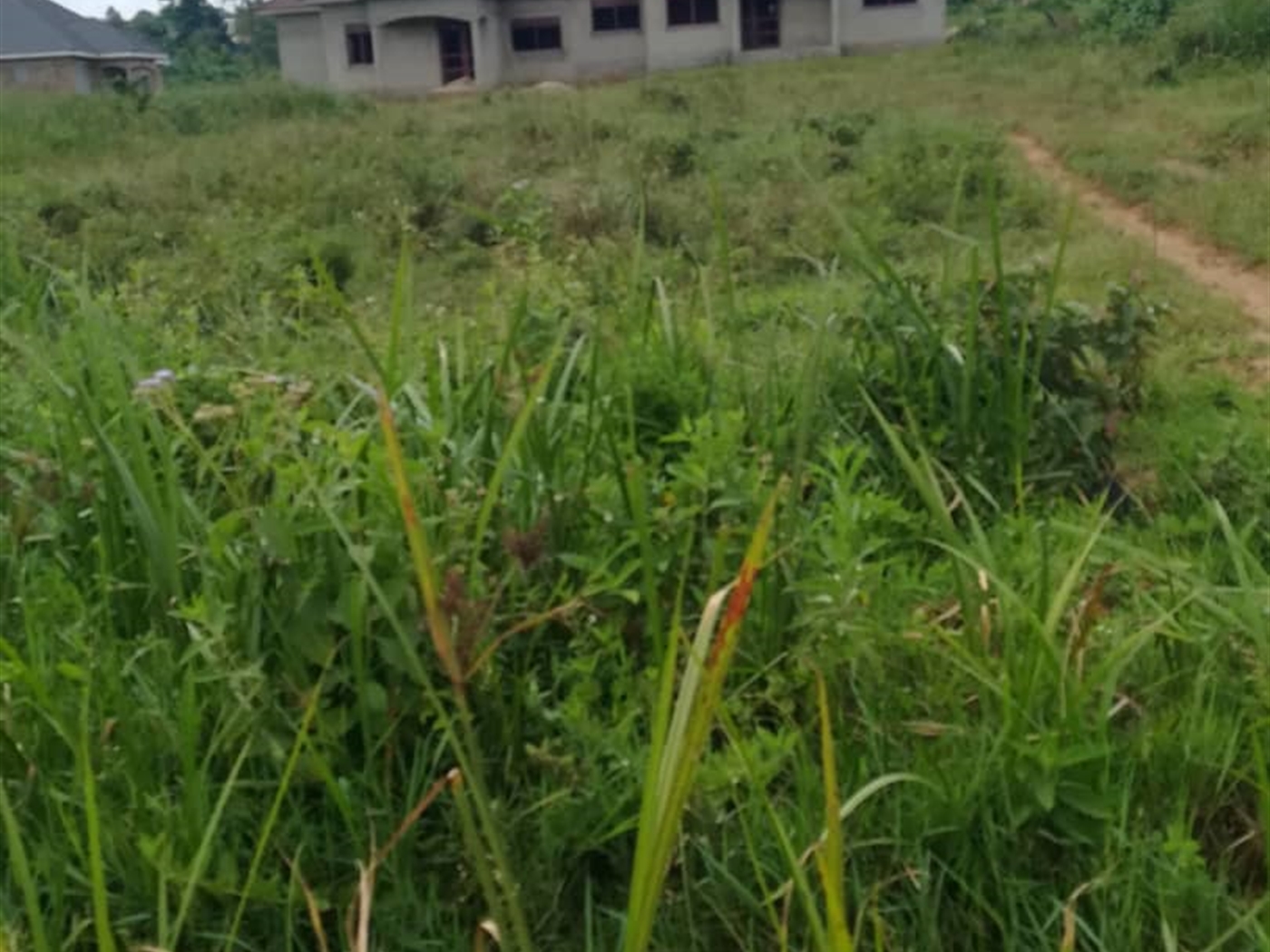 Residential Land for sale in Wantoni Mukono