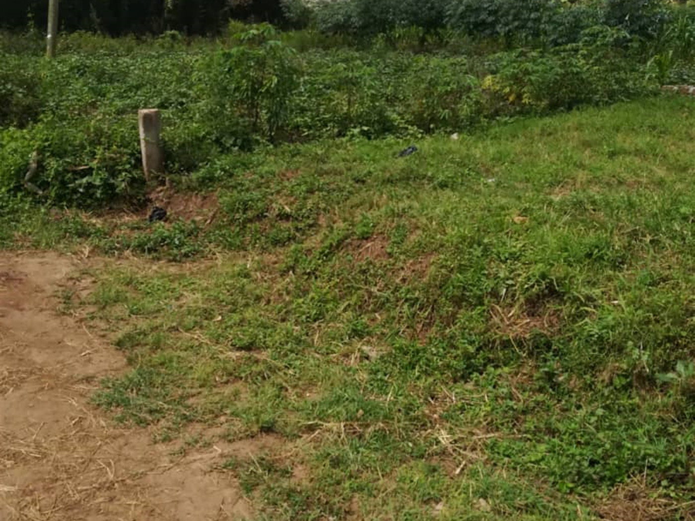 Residential Land for sale in Wantoni Mukono