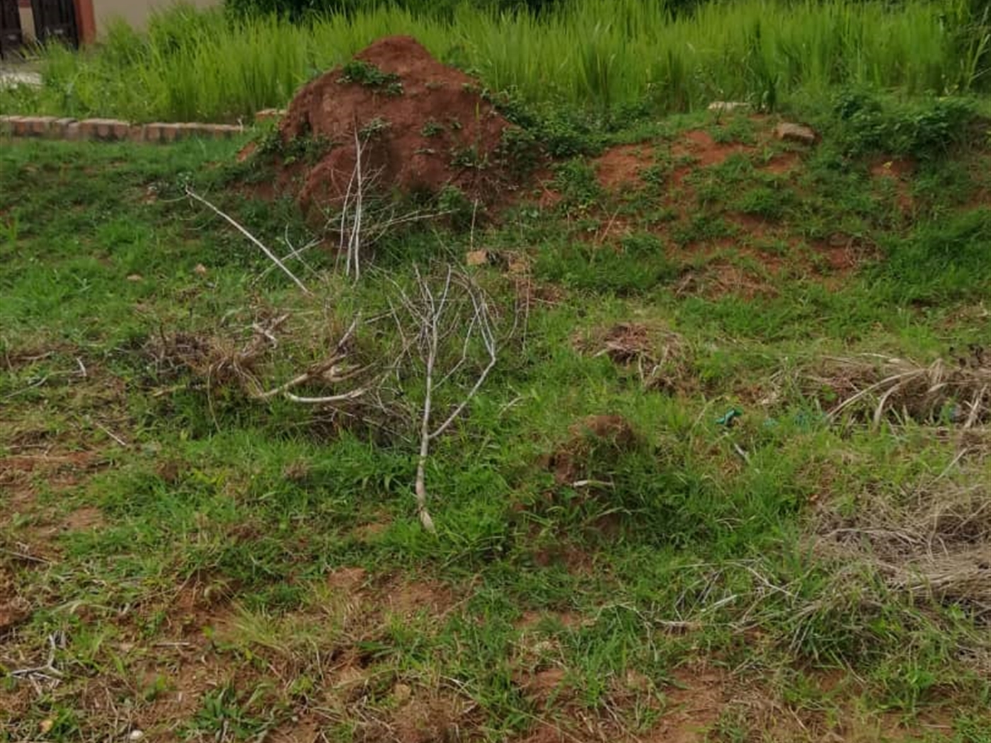 Residential Land for sale in Wantoni Mukono